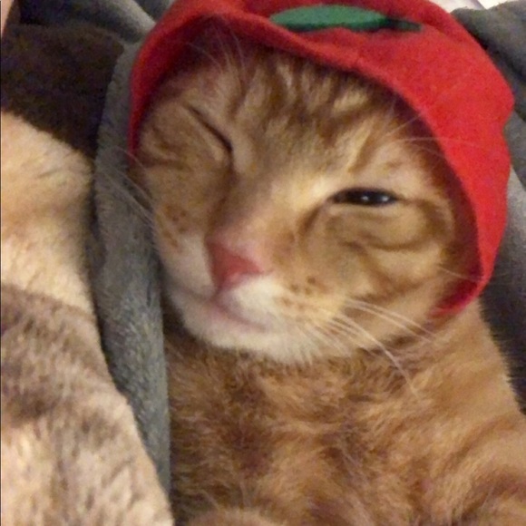 Meet your Posher, Andy - Picture 1 of 1